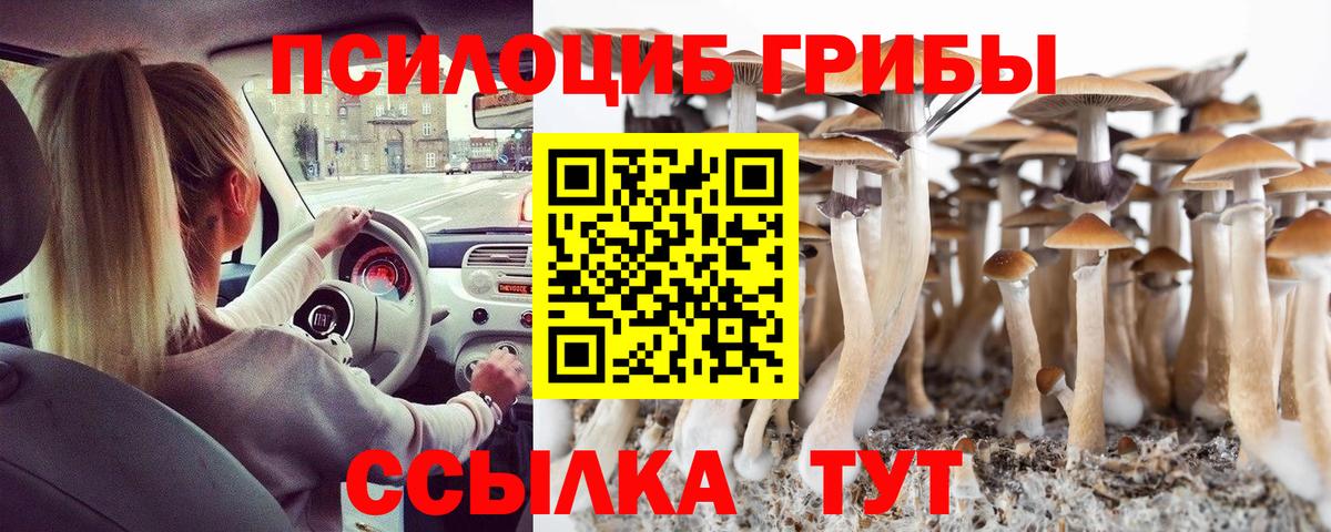 Псилоцибиновые грибы прущие грибы  Вход с VPN  Ахтубинск  Псилоцибиновые грибы Cubensis 